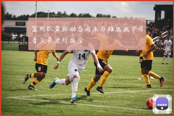 篮网队最新动态尚未与雄鹿就字母哥交易进行接洽