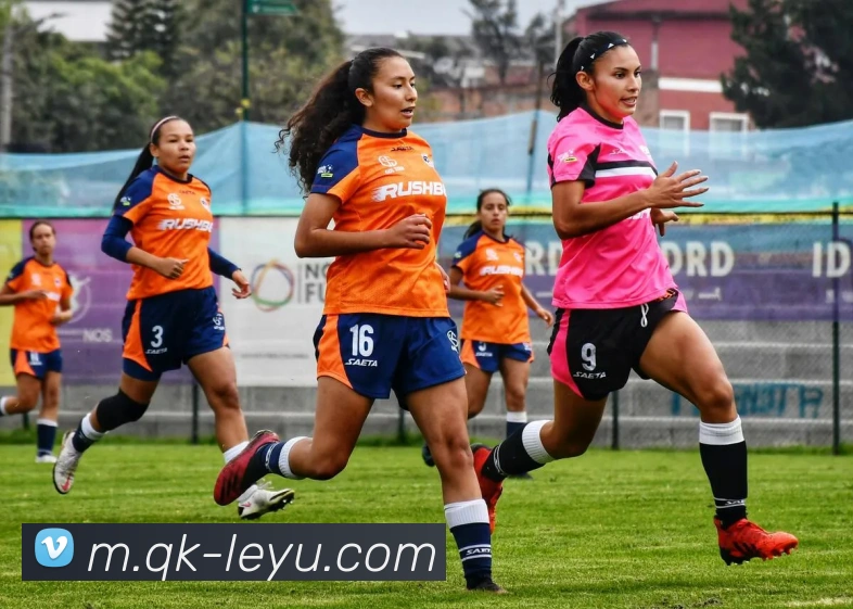 乐鱼体育APP 封面图