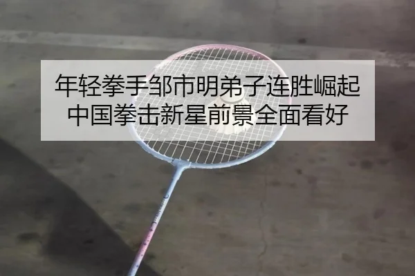 年轻拳手邹市明弟子连胜崛起 中国拳击新星前景全面看好 - leyu
